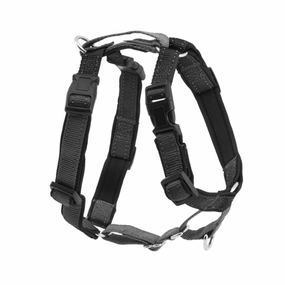 3 in 1? Harness and Car Restraint