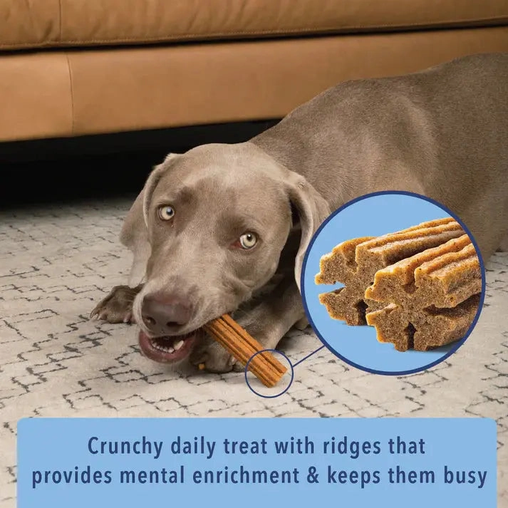 Angels' Eyes Sea Sticks Multi-Benefit Dog Treats