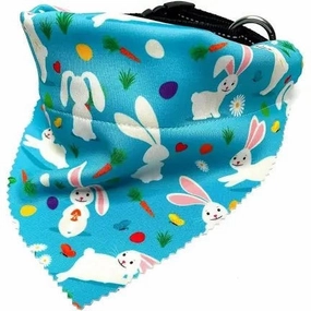 Bb Easter Bandana