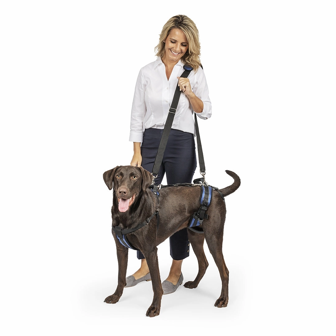 CareLift? Support Harness