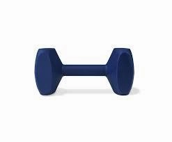 Coachi Training Dumbbell