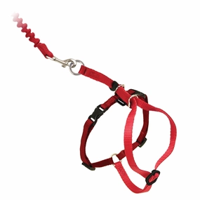 Easy Walk? Cat Harness