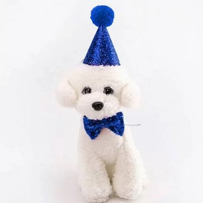 Glitter Party Hat & Bow Tie