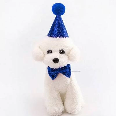 Glitter Party Hat & Bow Tie