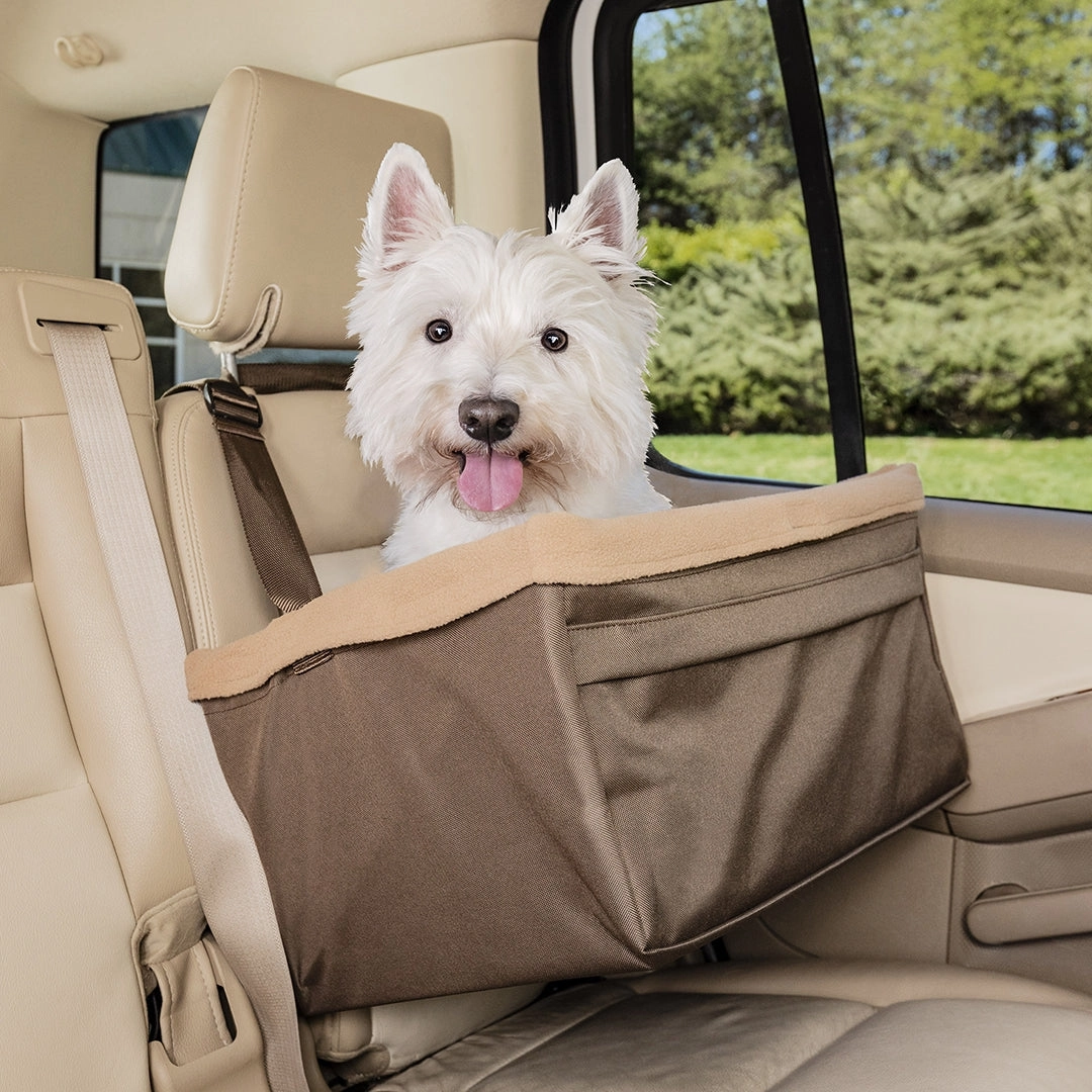Happy Ride? Booster Seat