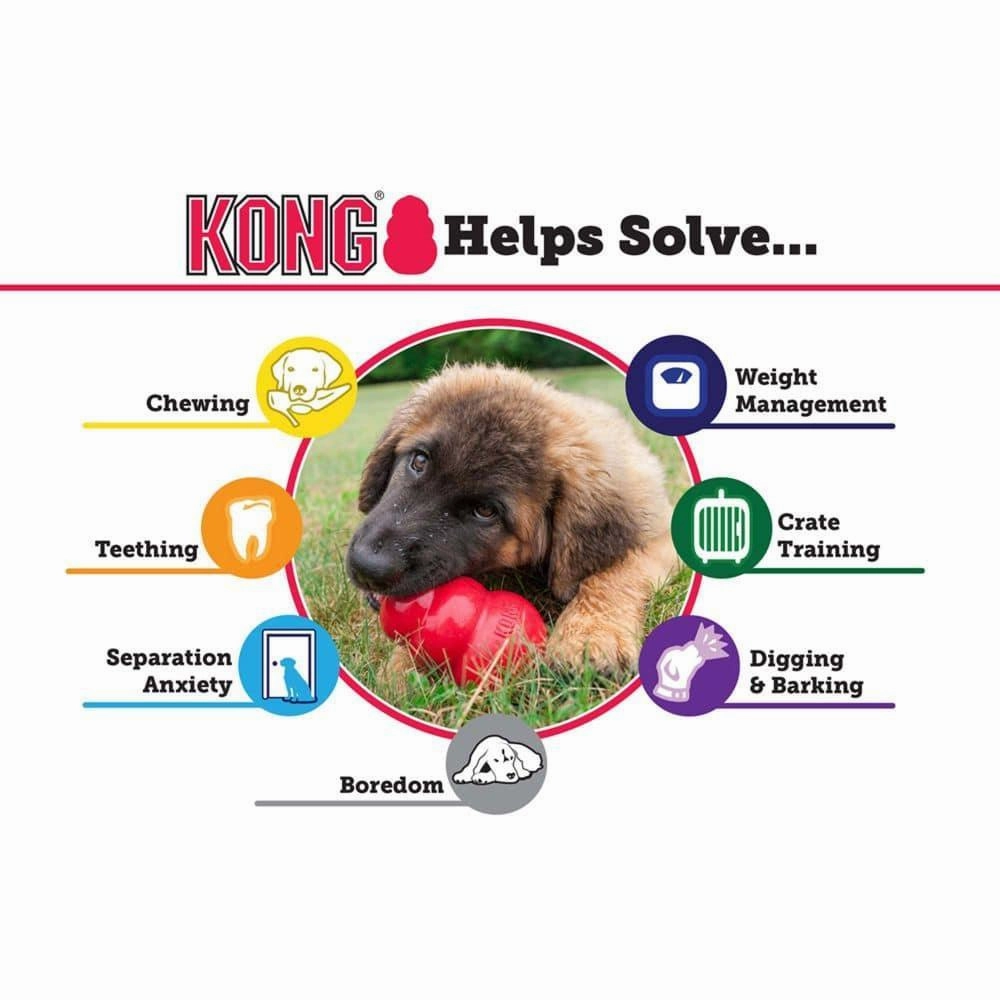 Kong Classic