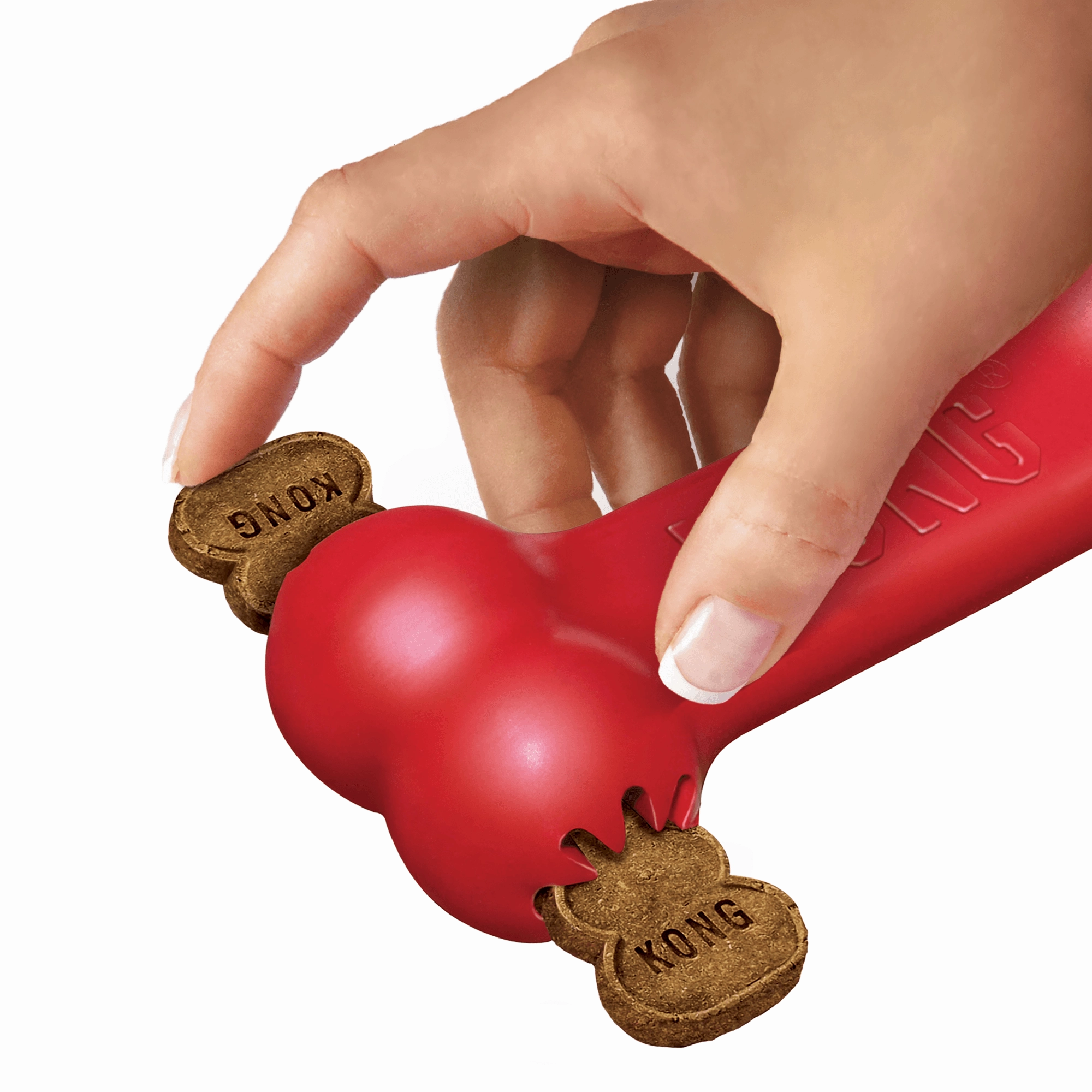 Kong Goodie Bone Small KB31