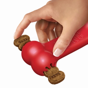 Kong Goodie Bone Small KB31