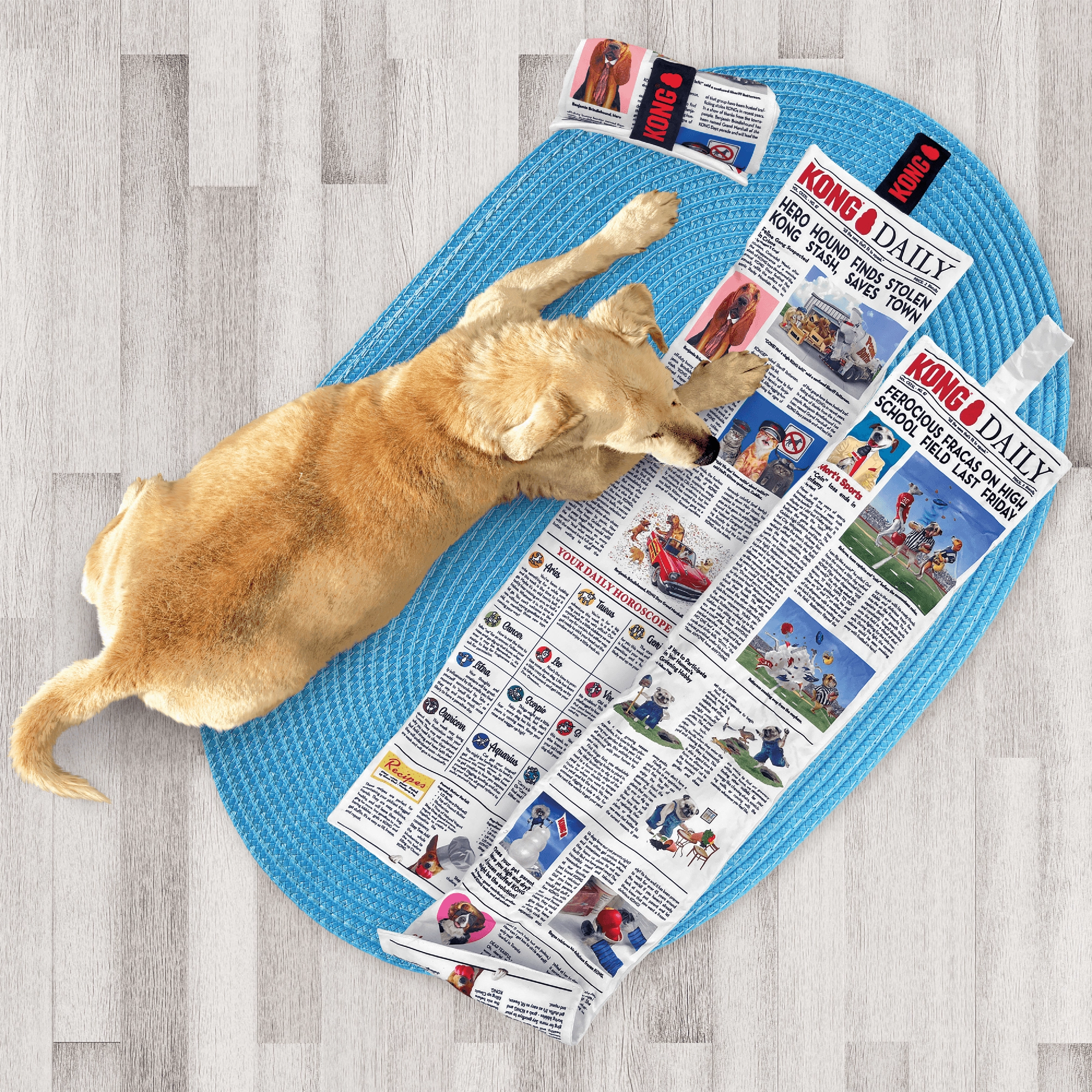 Kong Newspaper