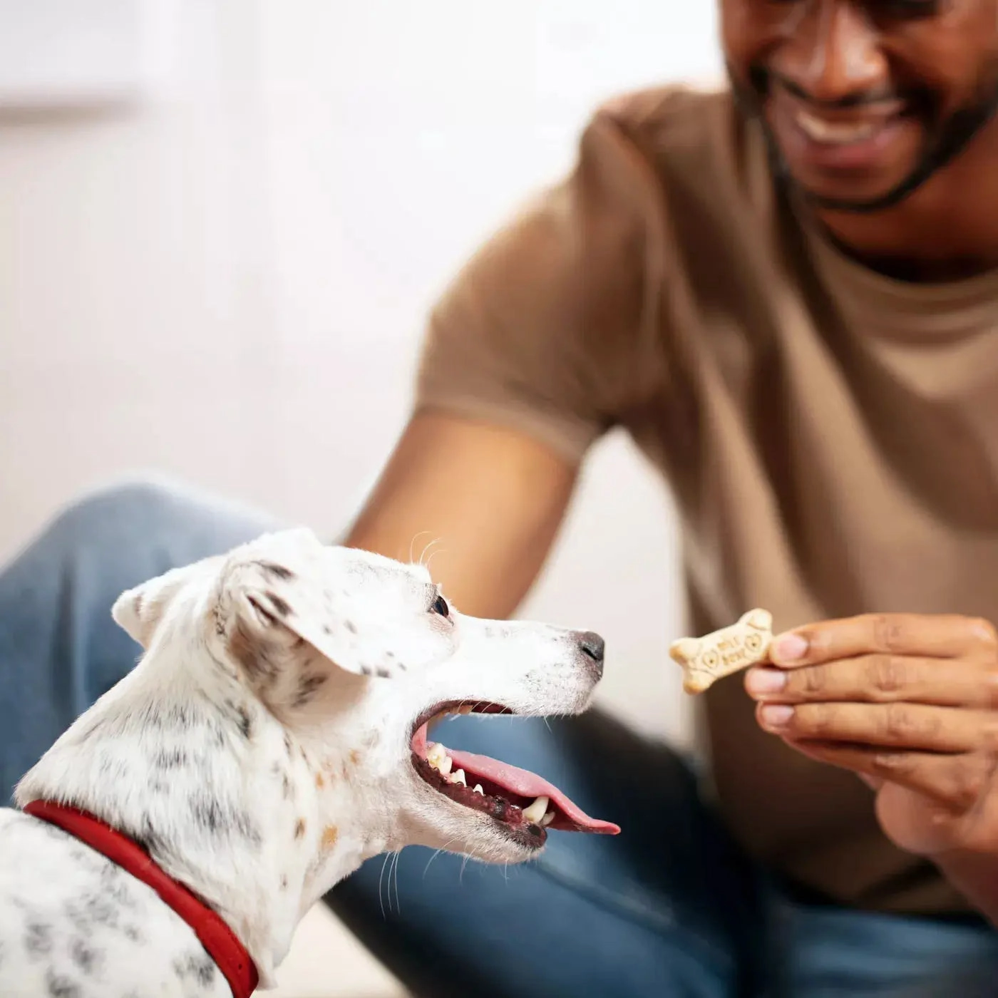 Milk-Bone Original Dog Biscuits