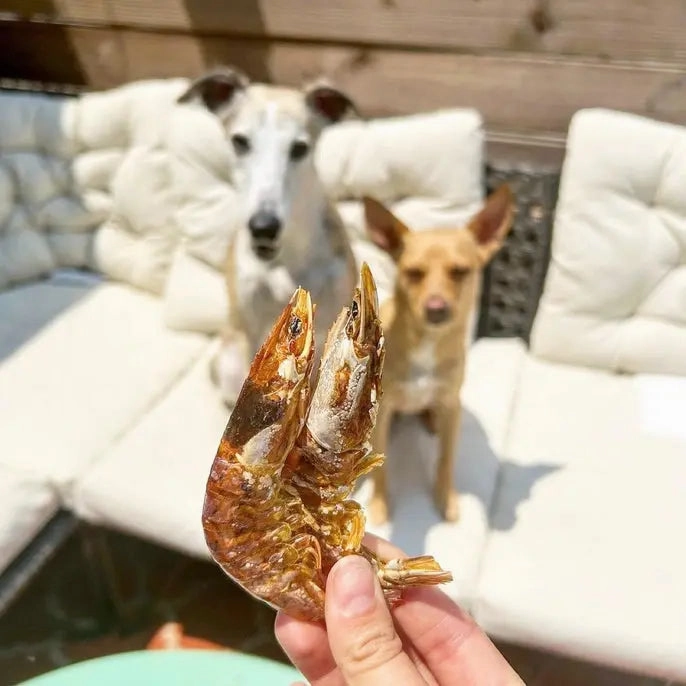 Naked Beasts Shrimp Head On All Natural Dog Treats