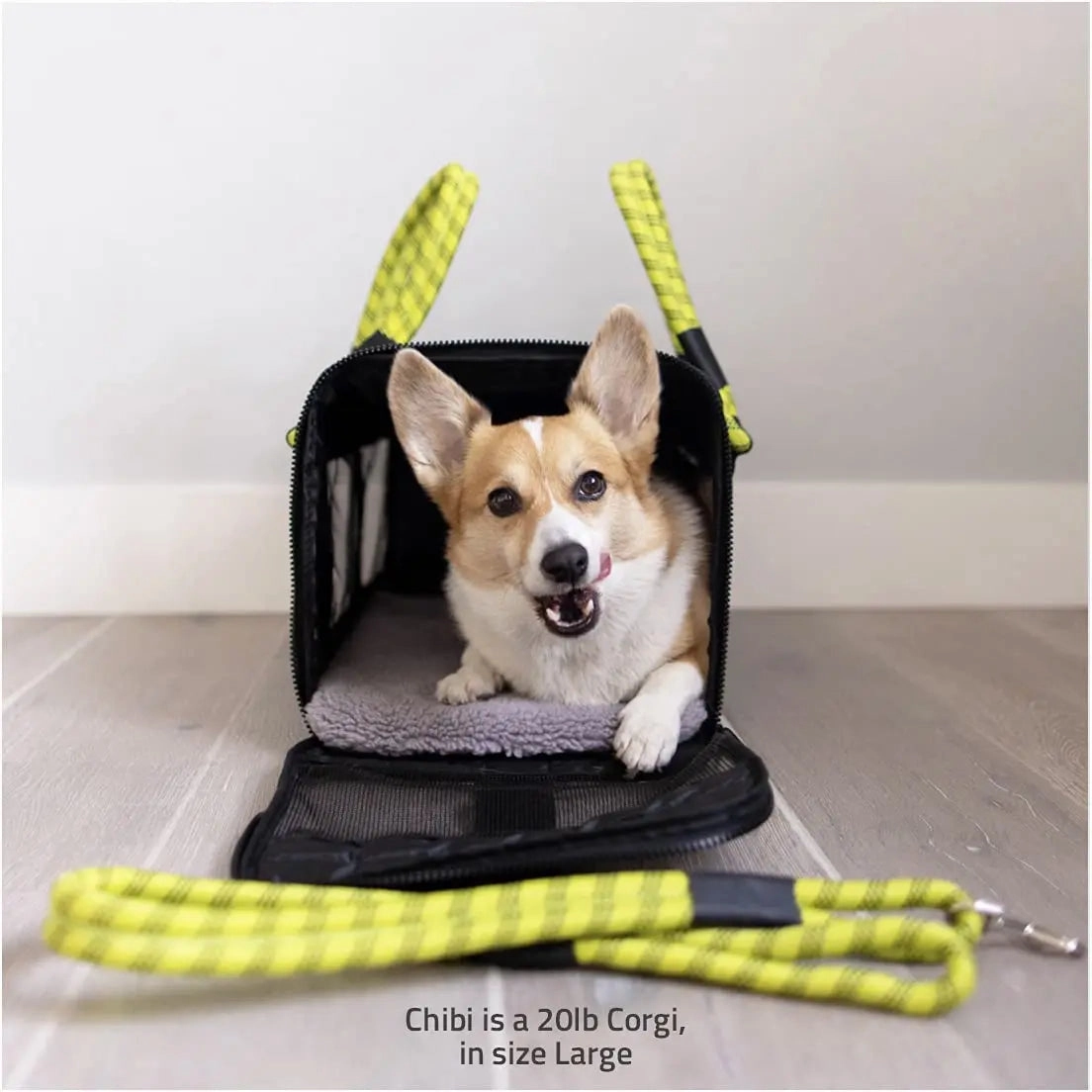 ROVERLUND Airline Compliant Pet Carrier, Travel Bag & Car Seat