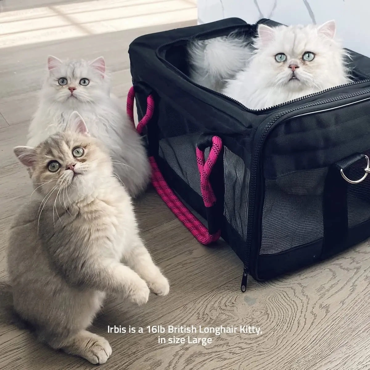 ROVERLUND Airline Compliant Pet Carrier, Travel Bag & Car Seat