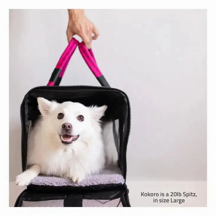 ROVERLUND Airline Compliant Pet Carrier, Travel Bag & Car Seat