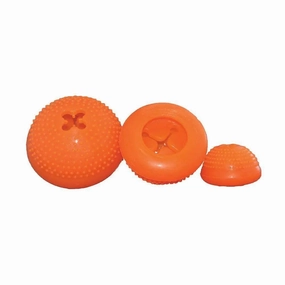 Starmark? Bento Ball? Everlasting Treats Medium