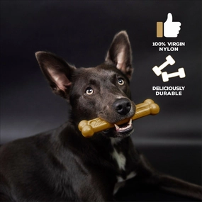 Tasty Bone Nylon