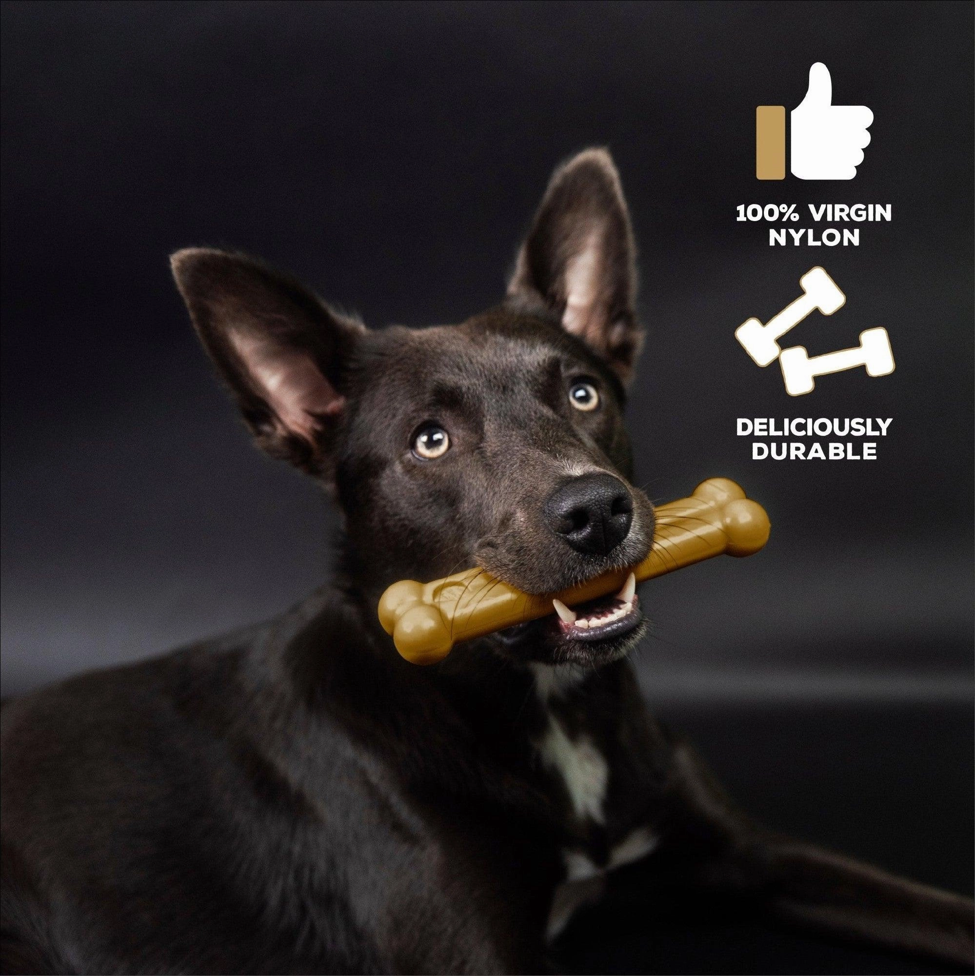 Tasty Bone Nylon
